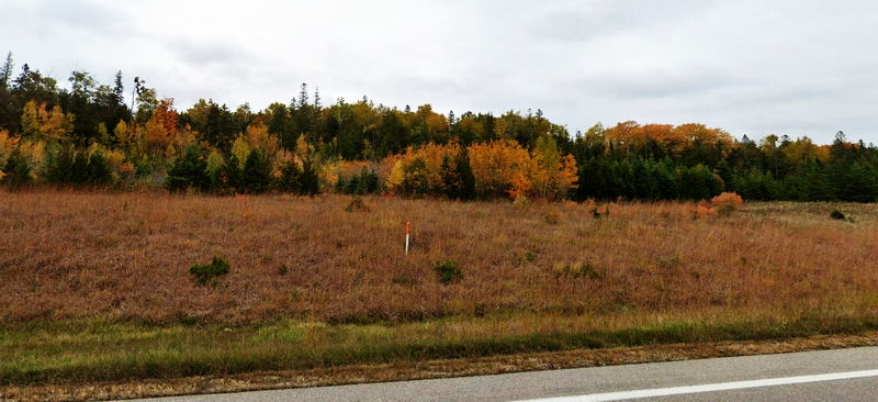 Kent Motel (Kents Motel) - 2023 Street View Of My Best Guess Lot (newer photo)